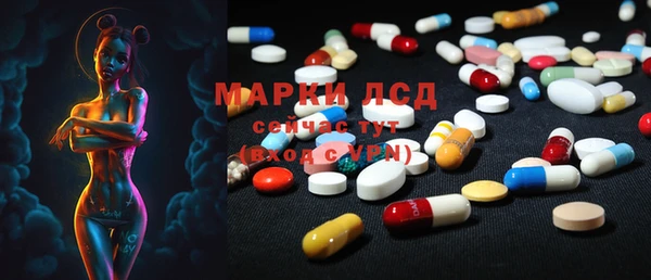 мяу мяу мука Иннополис