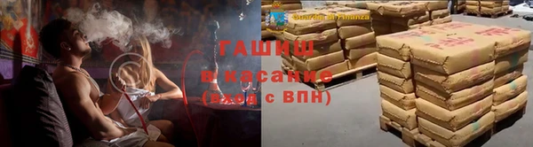 крисы Каменногорск