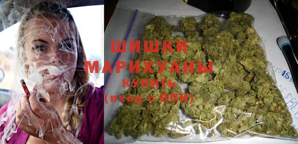 мяу мяу мука Иннополис