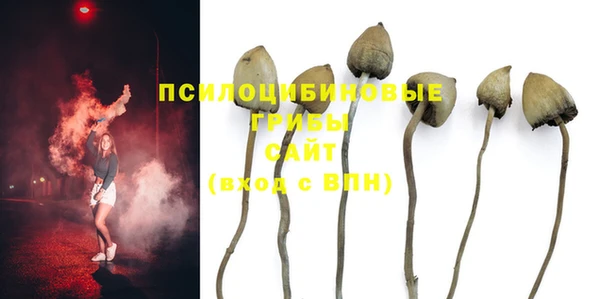 крисы Каменногорск