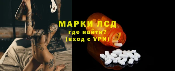 мяу мяу мука Иннополис