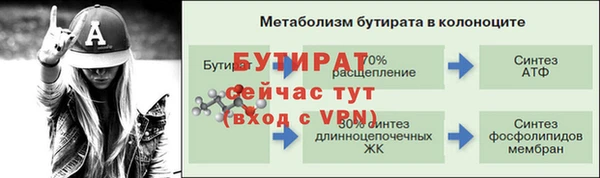 мяу мяу мука Иннополис