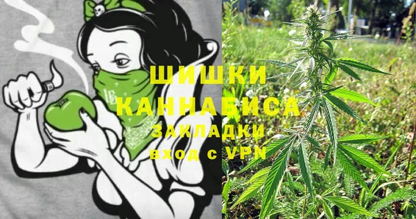крисы Каменногорск