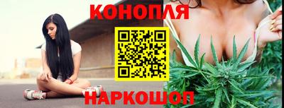 прущие крисы Волжск