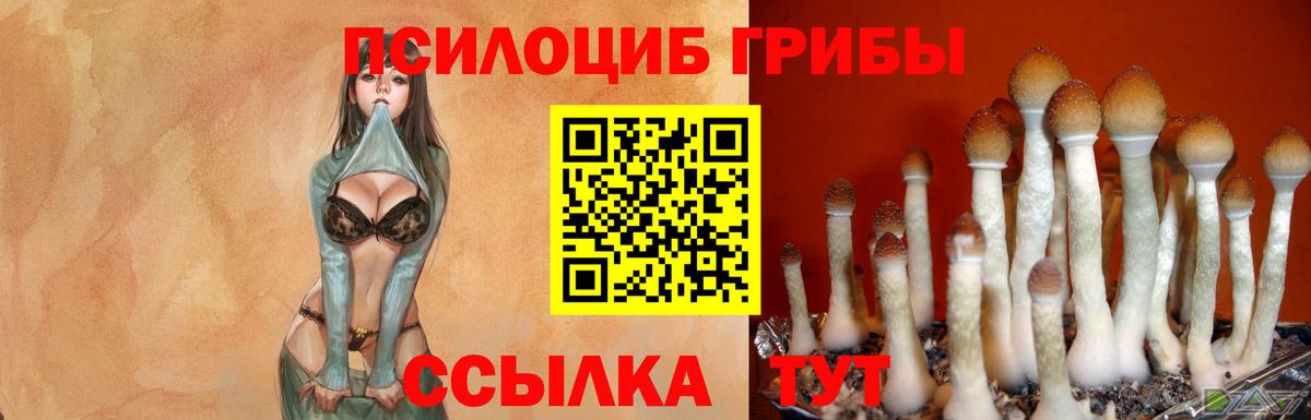 Псилоцибиновые грибы Magic Shrooms Прохладный